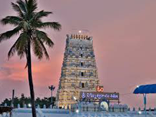 Tirupati Balaji Darshan Booking From chennai